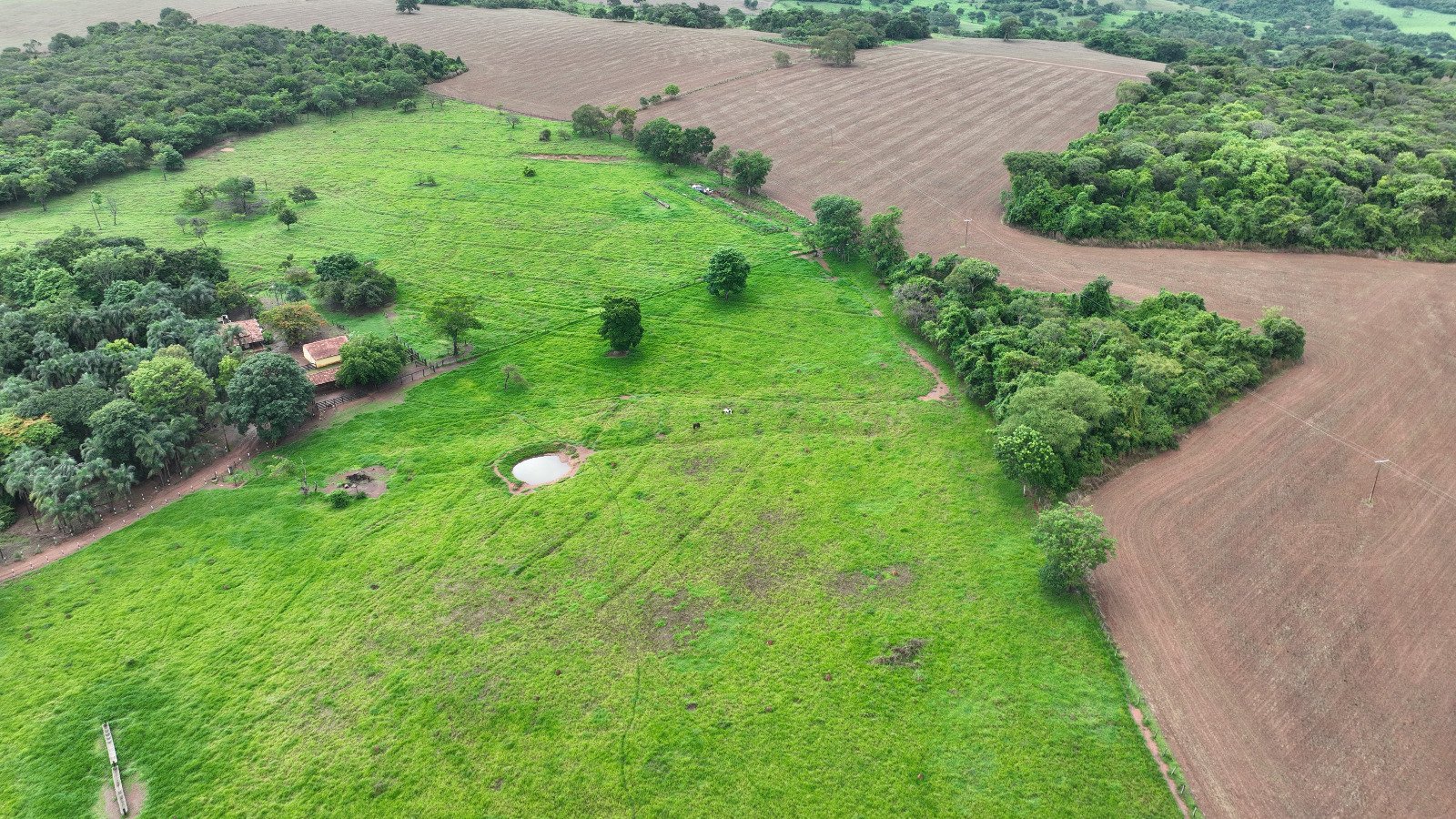 Área plana da fazenda